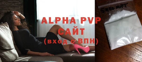 индика Чекалин