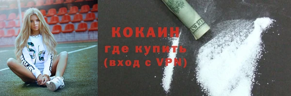 индика Чекалин
