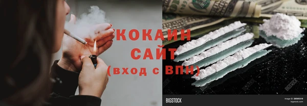 индика Чекалин