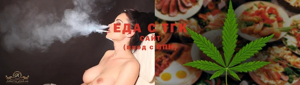 индика Чекалин