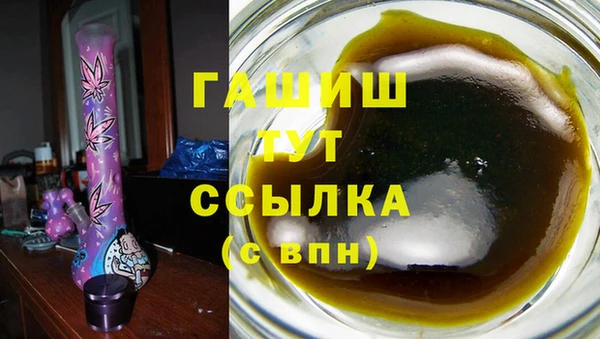 индика Чекалин