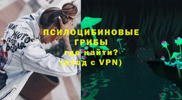 индика Чекалин