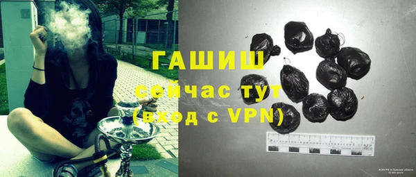 индика Чекалин